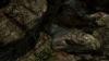 cave-entrance.png