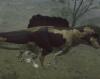 img-1136.jpeg