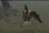 img-1135.jpeg