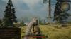 img-1696.jpeg