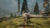 img-1697.jpeg