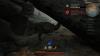 img-7295.jpeg