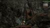 img-2043.jpeg