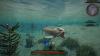 leedsichthys-eyes.png