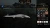 img-6910.jpeg