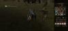 img-7625.png