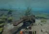 sarco-underwater.png