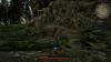 img-3001.jpeg