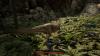 img-2999.jpeg