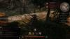 img-6791.jpeg