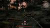 img-6195.jpeg