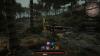 img-6197.jpeg