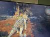 img-7102.jpeg
